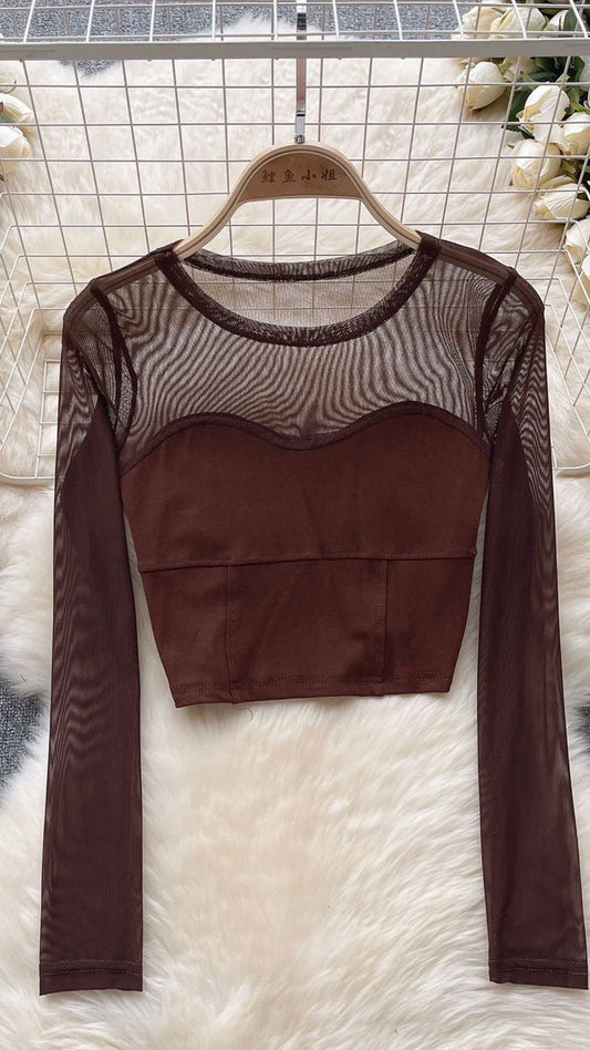 🤎 Sheer Mesh Layering Top / Торон цамц